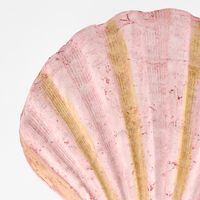 Sadie Pink Shell 13.5X12.5X5CM