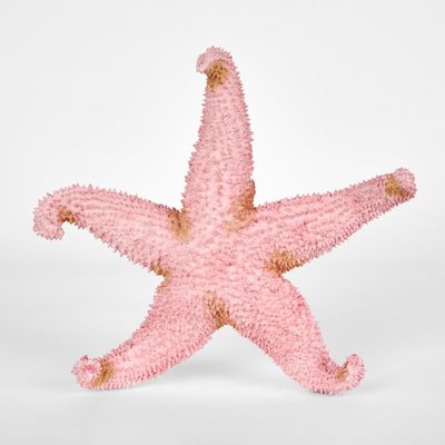 Sera Pink Starfish 24X24X5CM