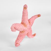 Sera Pink Starfish 24X24X5CM