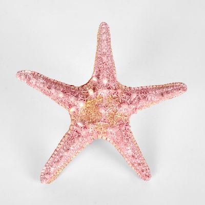 Sale Pink Starfish 15X15X4CM