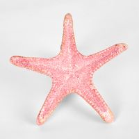 Sale Pink Starfish 15X15X4CM