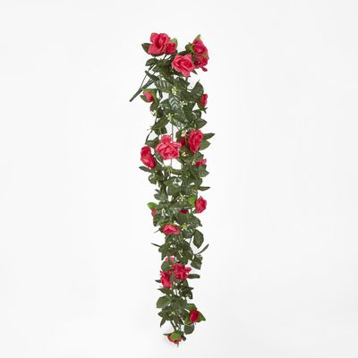 Hanging Roses