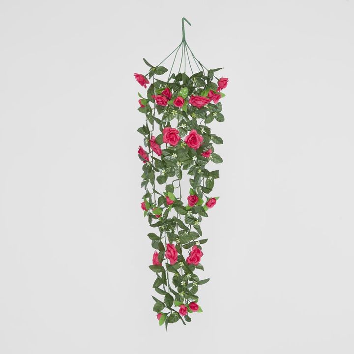 Hanging Rose Bush Fuchsia