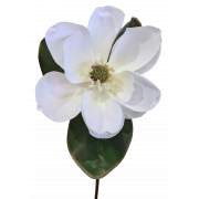 Magnolia Stem with 3 Leaves 74CM White