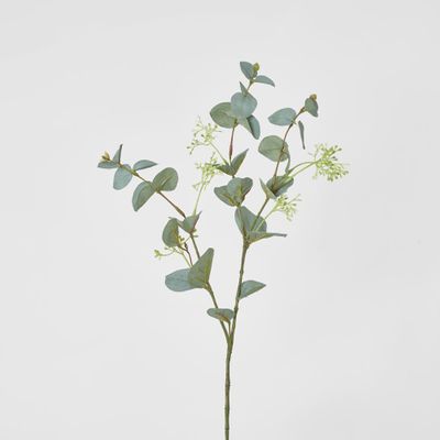 Grey Green Eucalyptus leaf Spray with seed