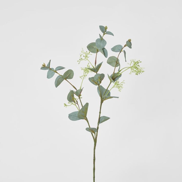Grey Green Eucalyptus leaf Spray with seed