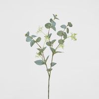 Grey Green Eucalyptus leaf Spray with seed