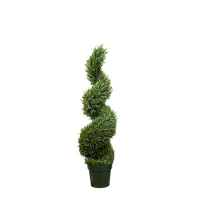 Rosemary Spiral Tree 1.2m