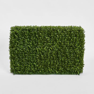 Boxwood Hedge 55x95cm