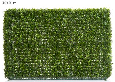 Boxwood Hedge 55x95cm