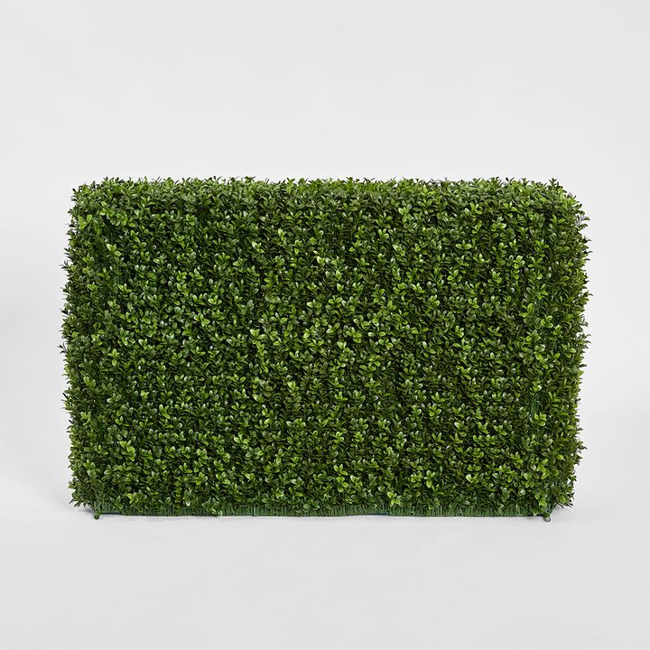 Boxwood Hedge 55x95cm