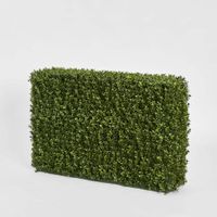 Boxwood Hedge 55x95cm