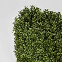 Boxwood Hedge 55x95cm