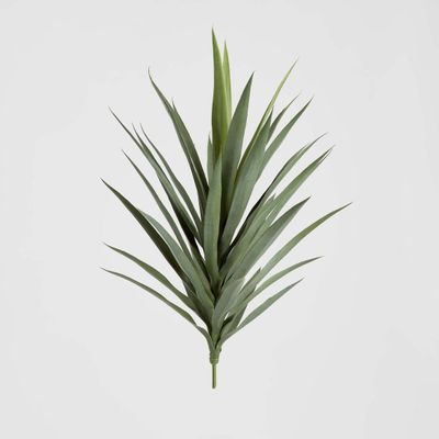 Yucca Head Green 78cm