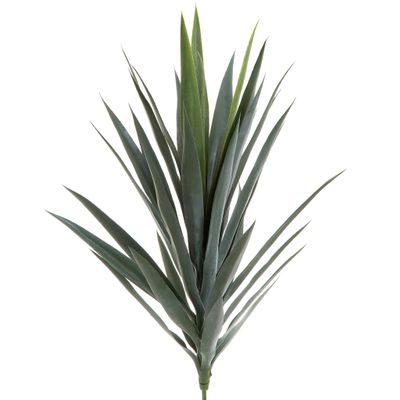 Yucca Head Green 78cm