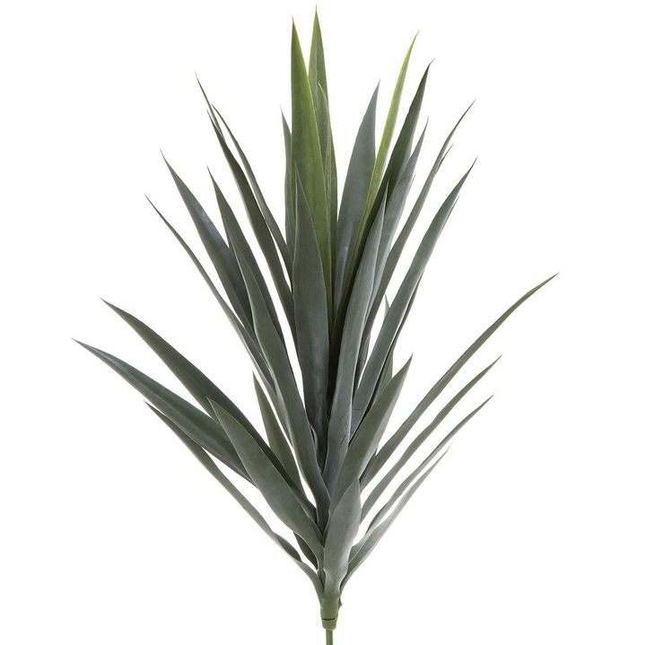 Yucca Head Green 78cm