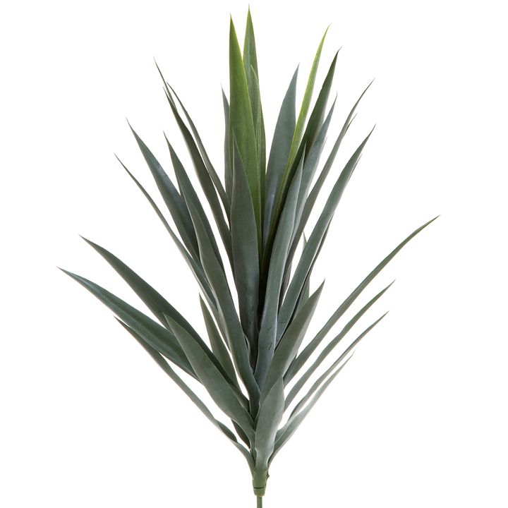 Yucca Head Green 78cm