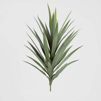 Yucca Head Green 78cm