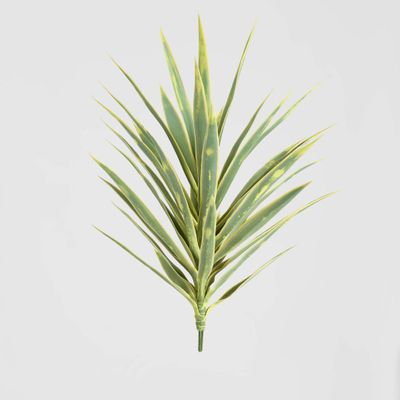 Yucca Head Green 78cm