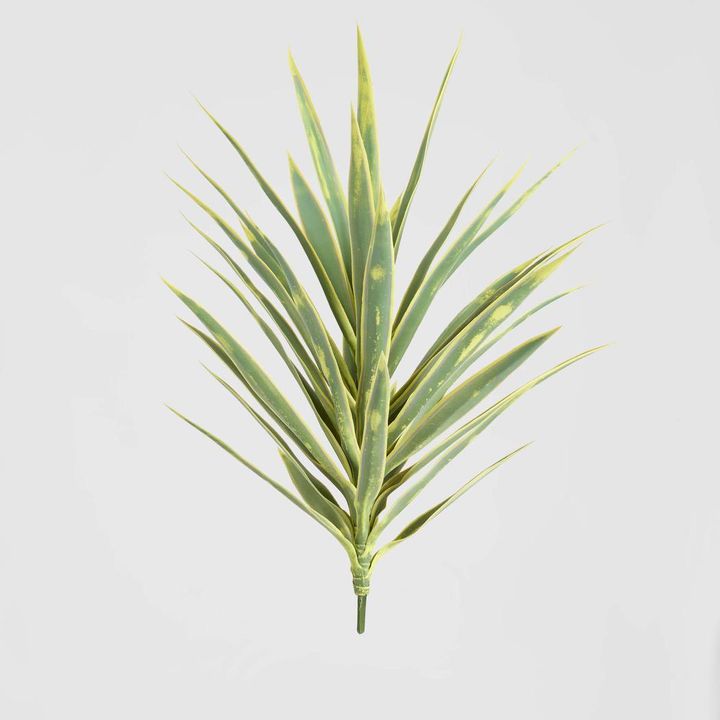 Yucca Head Green 78cm