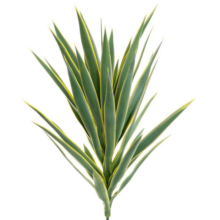 Yucca Head Green 78cm