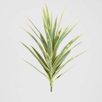 Yucca Head Green 78cm