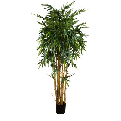 New Bamboo Tree 2.2m