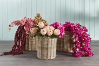 Nambo Rattan Round Basket Set of 3