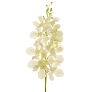 Orchid Vanda Mini Spray 63cm White