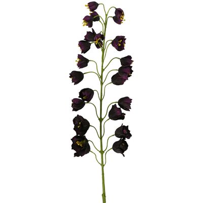 Fritteiaria Spray 112cm Purple