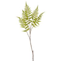 Greenspray Fern Stem 105cm