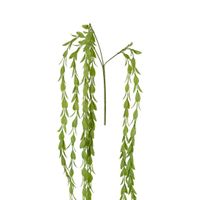 Gum Hanging Spray 1.75m