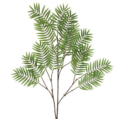 Chamedorea Leaf Spray 160cm Green