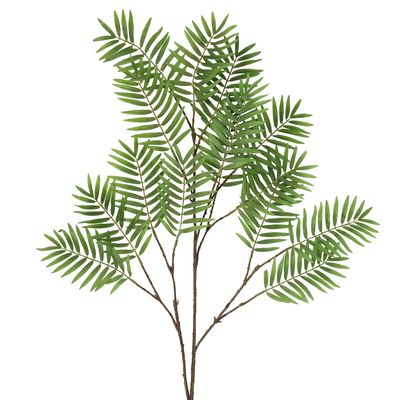 Chamedorea Leaf Spray 160cm Green