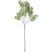 Chamedorea Leaf Spray 160cm Green