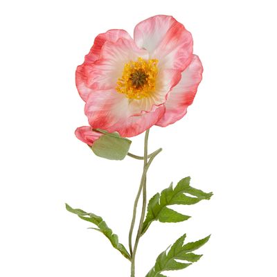 Poppy Stem 68cm Pink