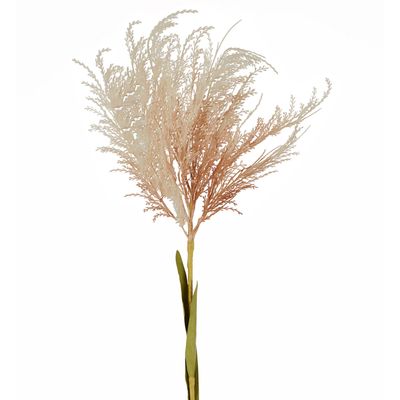 Natural Pampas Spray Stem with Leaves