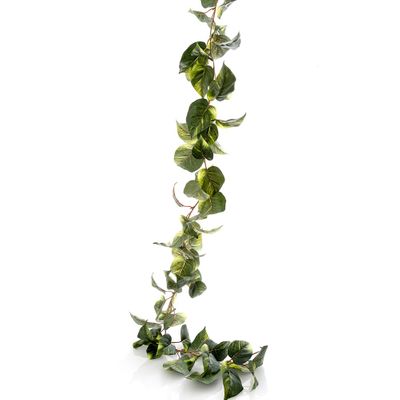 Pothos Garland 1.8m