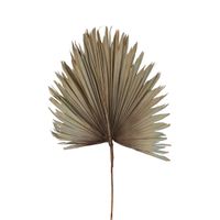 Preserved Palm Leaf Grey Blue Large