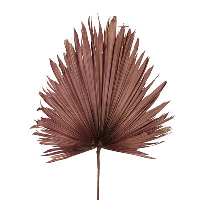 Preserved Palm Leaf Pink Large