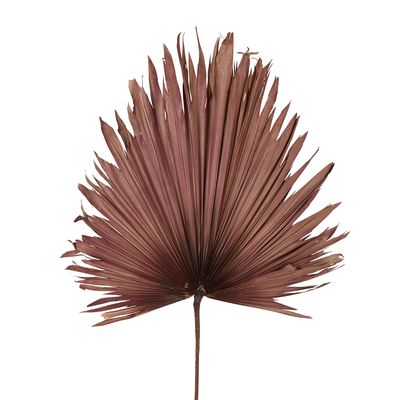 Preserved Palm Leaf Pink Large