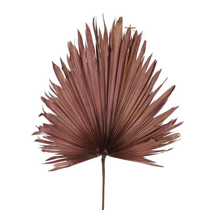 Preserved Palm Leaf Pink Large