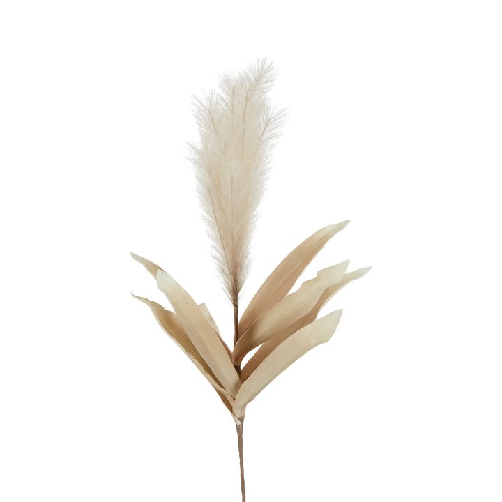 Feather Pampas Stem 87cm Coffee