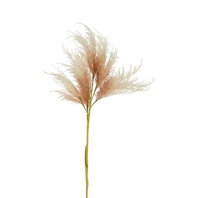 Oversized Pampas Spray Stem Natural