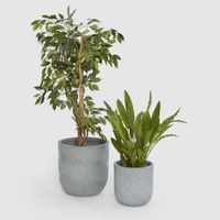 Dessa Large Terrazzo Planter Set of Two