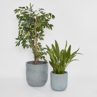 Dessa Large Terrazzo Planter Set of Two