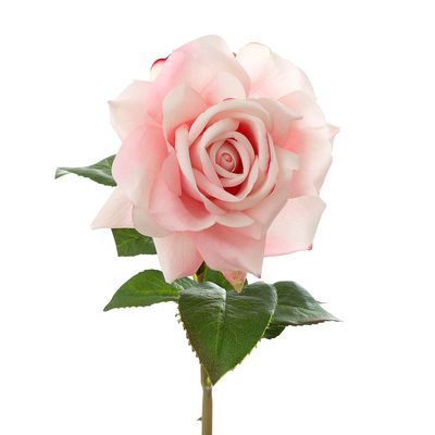 Rose True Touch 50cm Pink