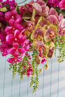 Orchid Stem 85cm Red