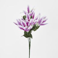 Tiger Lily Bush Asstd Colours Box of 60