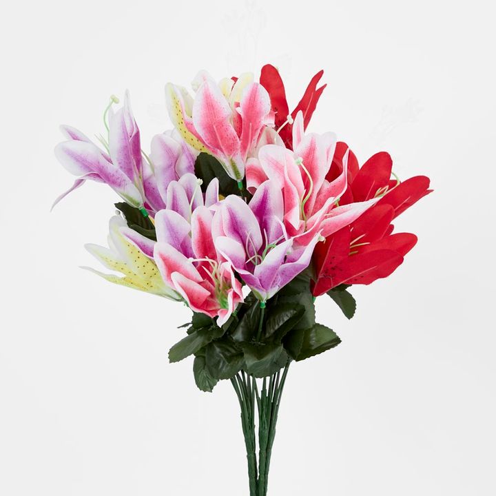 Tiger Lily Bush Asstd Colours Box of 60